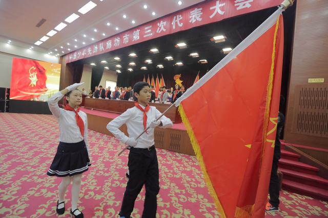 中国少年先锋队廊坊市第三次代表大会隆重召开